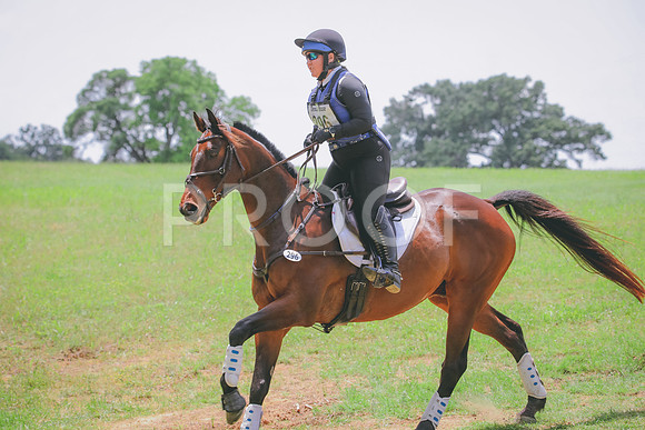 RWP_4602