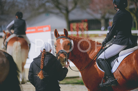 JJS_2297