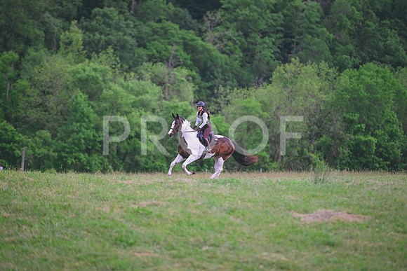 TLS_0697
