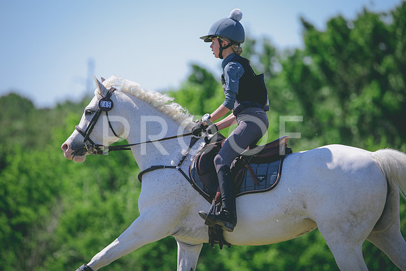 RWP_1243