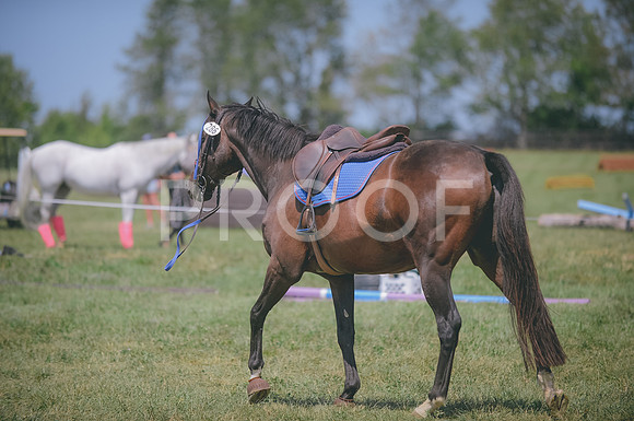 JJS_4726