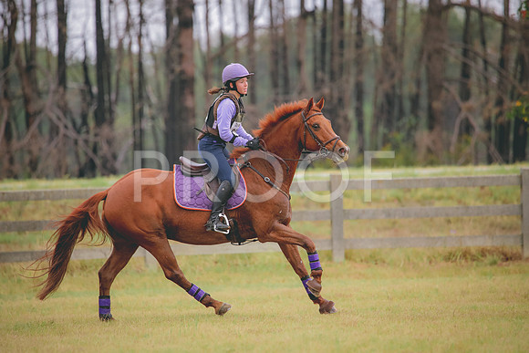 RWP_3427