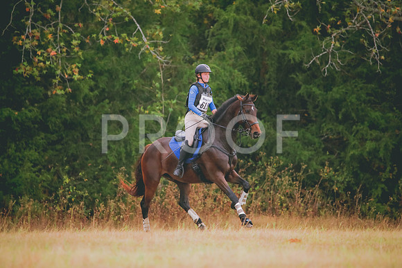 RWP_2698