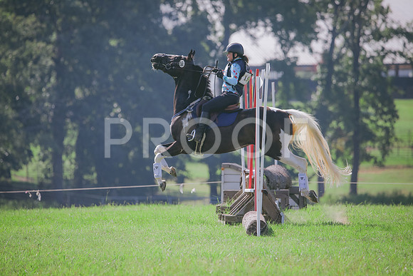 RWP_6377