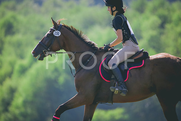 RWP_6270