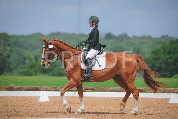 RWP_4491