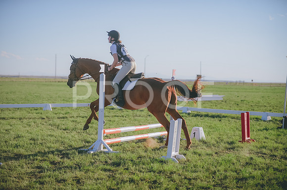JJS_3866