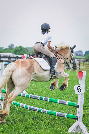 DSC_3746