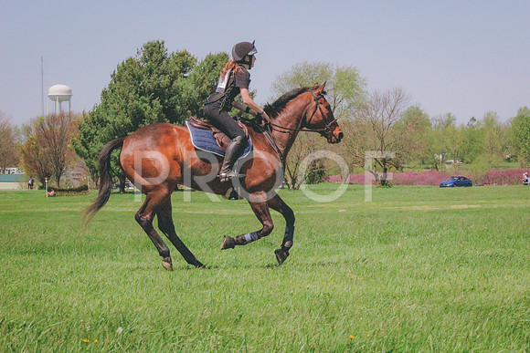 IMG_7146