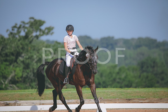 RWP_4641