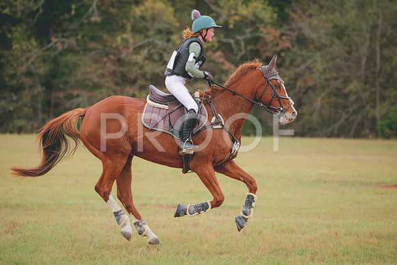 RWP_3652