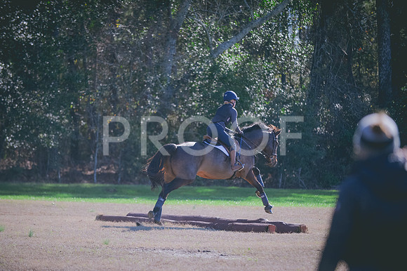 JJS_2473