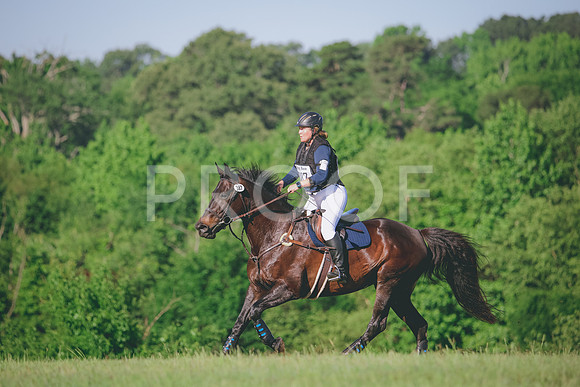 RWP_2385