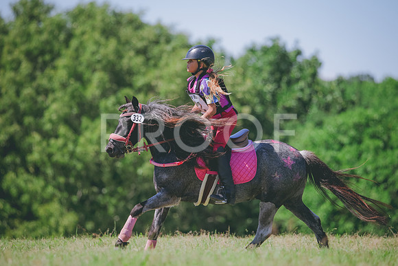 RWP_1139