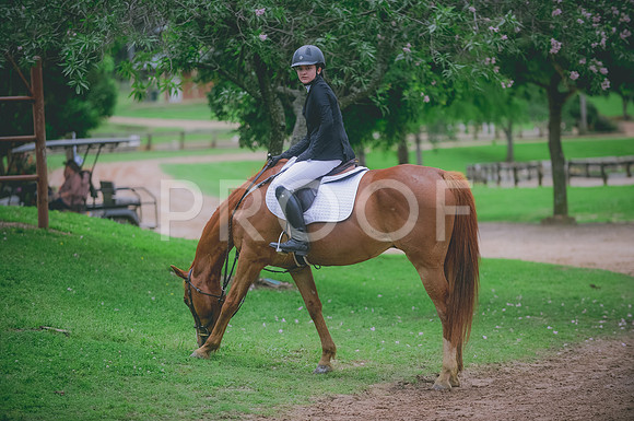 000_3569 copy