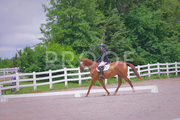 TBEY6062