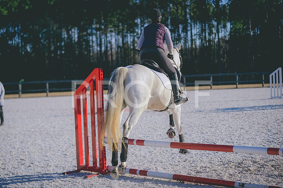 JJS_0596