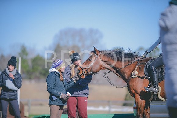 JJS_0317