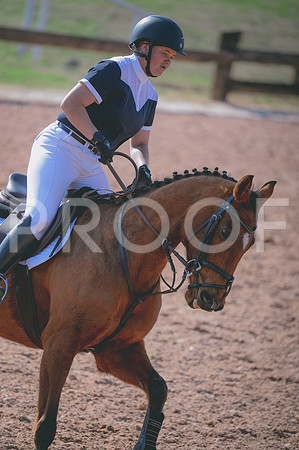 JJS_9449