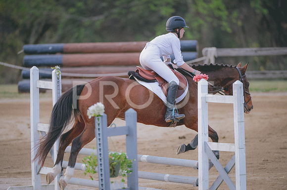 JJS_2464