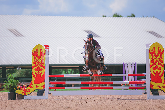 SH3_9911
