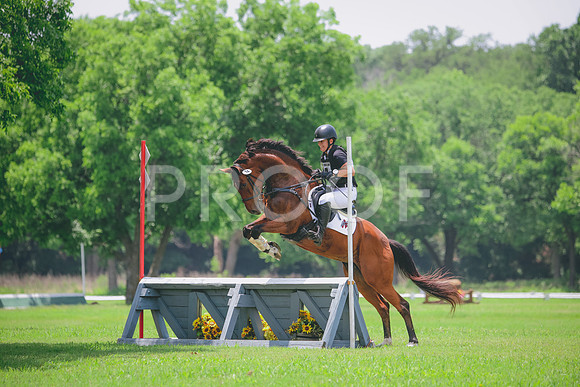 RWP_3071