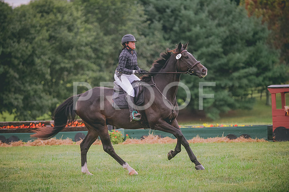 JJS_3748