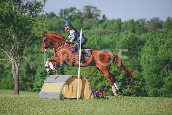RWP_2946