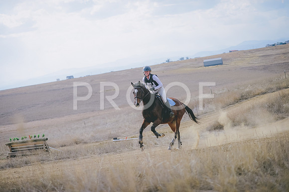 JJS_1198