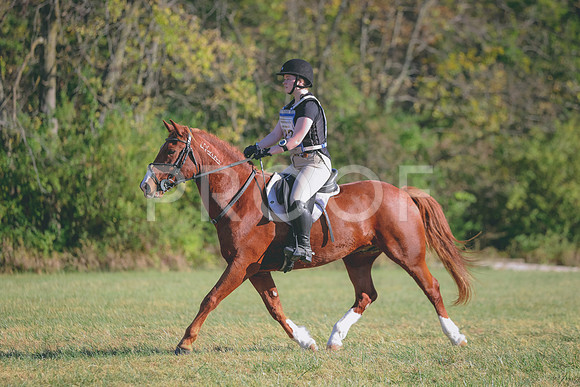 HLJ_5804