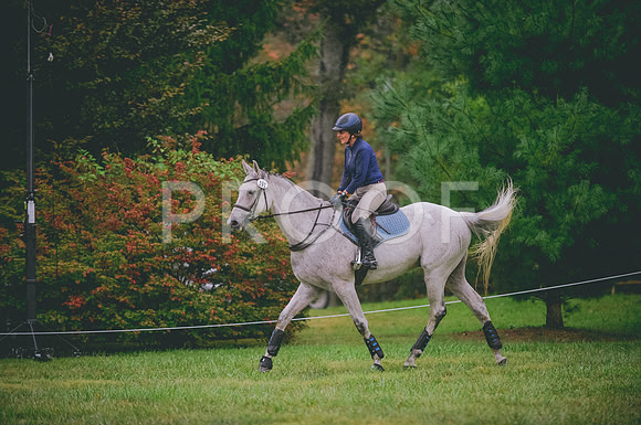 JJS_7079