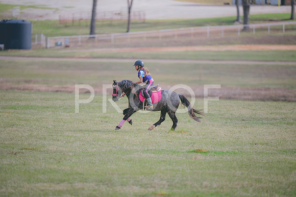 JJS_0614