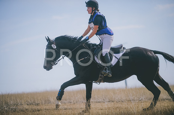 JJS_0493
