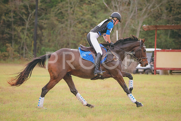 RWP_3091