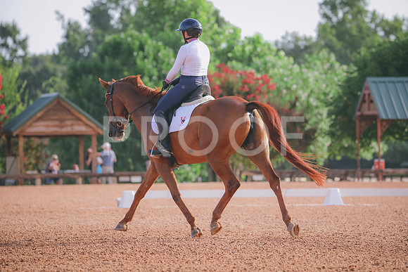 RWP_4291