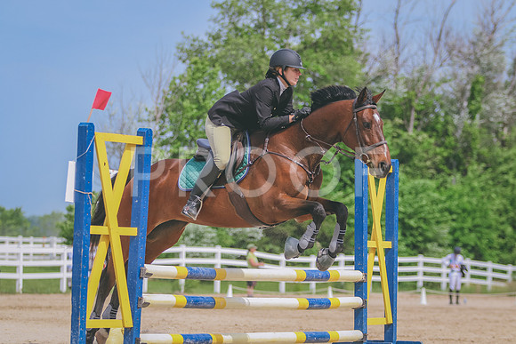 281A8497