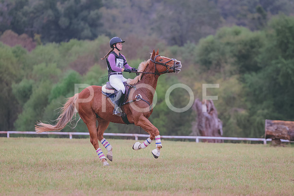 861A3962
