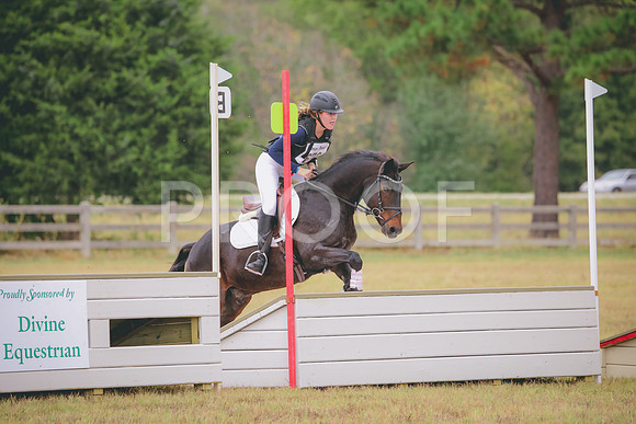 RWP_3484