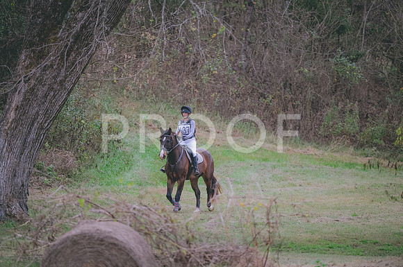 JJS_5401
