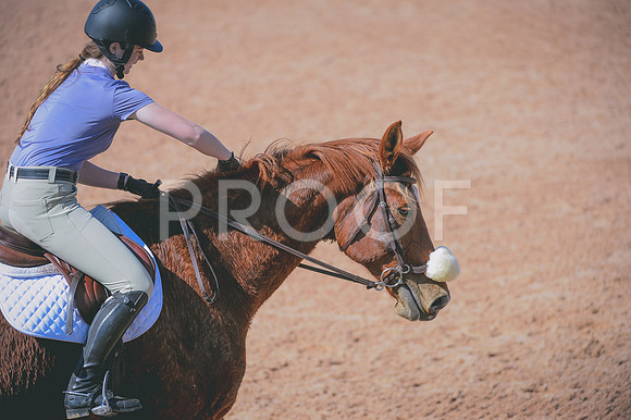 JJS_5670