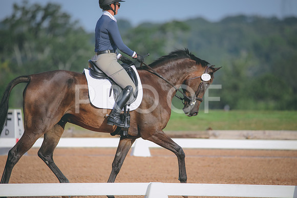 RWP_4373
