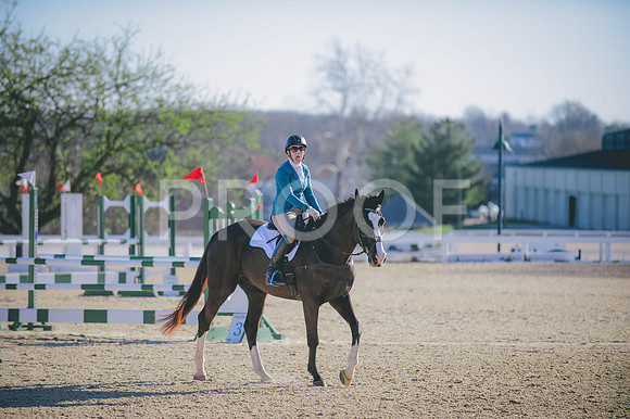 JJS_3279