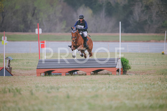 RWP_8313