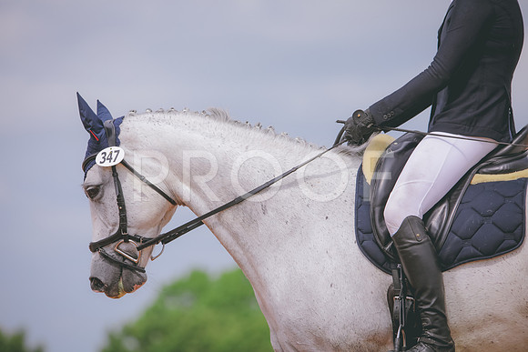 RWP_4291