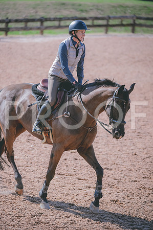 JJS_8440