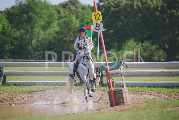 RWP_3619