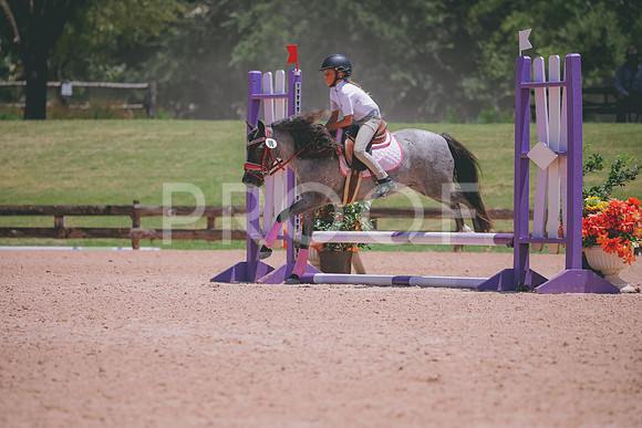 RWP_5838