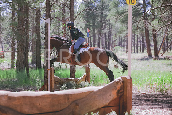 JAS_9019