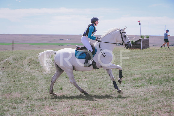 CDH_8993