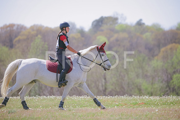 RWP_1343